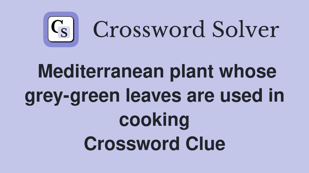 Mediterranean plant whose grey-green leaves are used in cooking